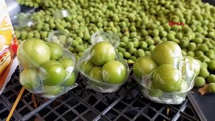 Türkiye'nin en lezzetli yeşil altınındın fiyatı dudak uçuklattı