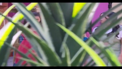 A Mar Donde el amor teje sus redes - Capitulo 23
