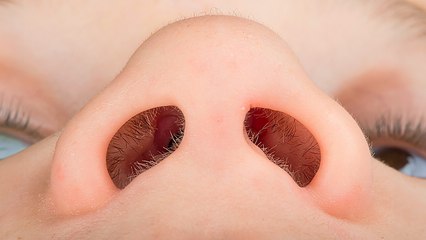 You're a Walking Supermachine – These Body Facts Prove It