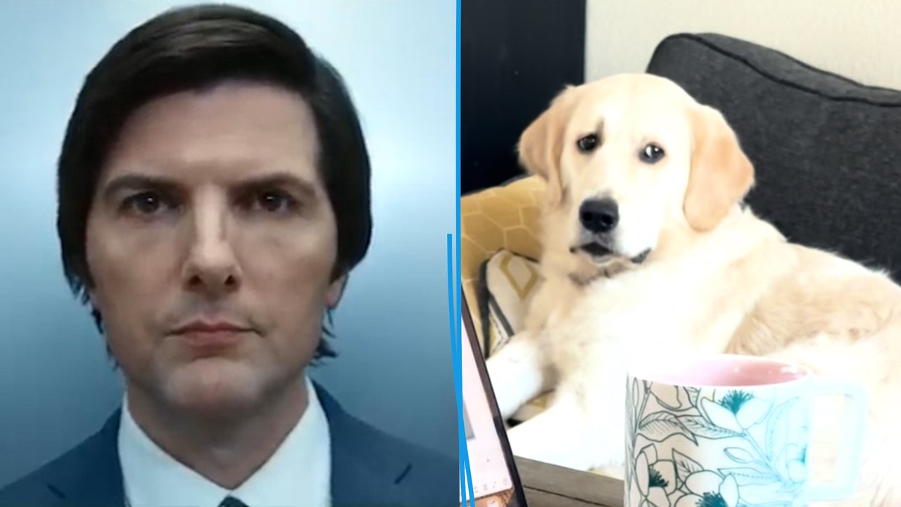 La série « Severance » terrifie-elle les chiens ?
