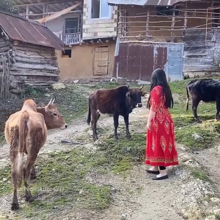 Beautiful Young Girl Of Village Daily Routine | Morning of young girl in village | Good morning of young vikllage girl |DIGITAL MASTER