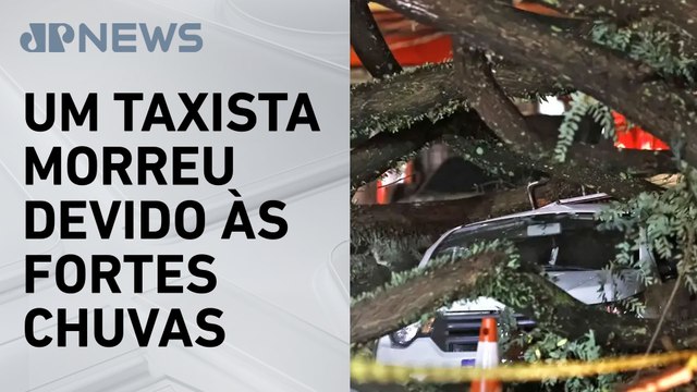 Temporal em SP causa queda de árvores, desabamentos e deixa imóveis sem luz