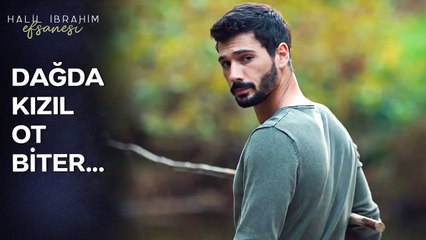 Hayat Bazen Bu Şarkı Gibi Hissettiriyor