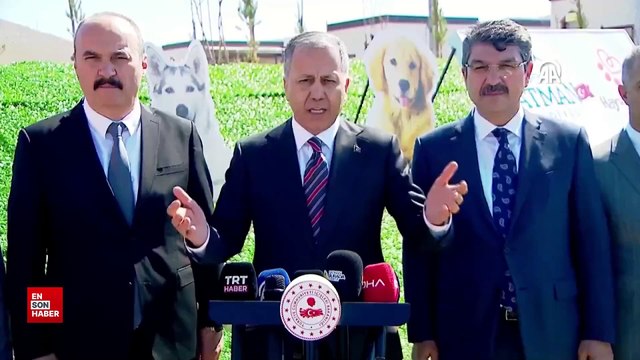 Ali Yerlikaya'dan başıboş sokak köpekleriyle ilgili açıklama