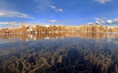 Van Gölü'nün sırları bitmiyor: Yeni keşif dalgıçları bile şaşırttı! Daha önce de resif bulunmuştu