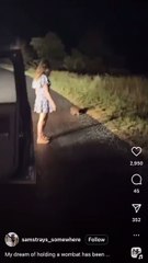 Influencer causa polémica por separar vombate da mãe. Até governo reagiu