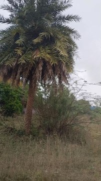 Rain status video in tamil for shorts video in tamil reels video #rain |reels _shorts _shortsvideo_reelsvideo_trendingreels