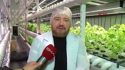 Şehir hayatından kaçan genç çift, topraksız tarım üretici oldu