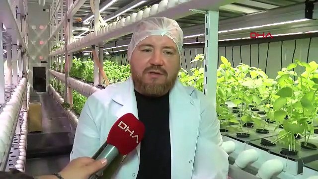 Şehir hayatından kaçan genç çift, topraksız tarım üretici oldu