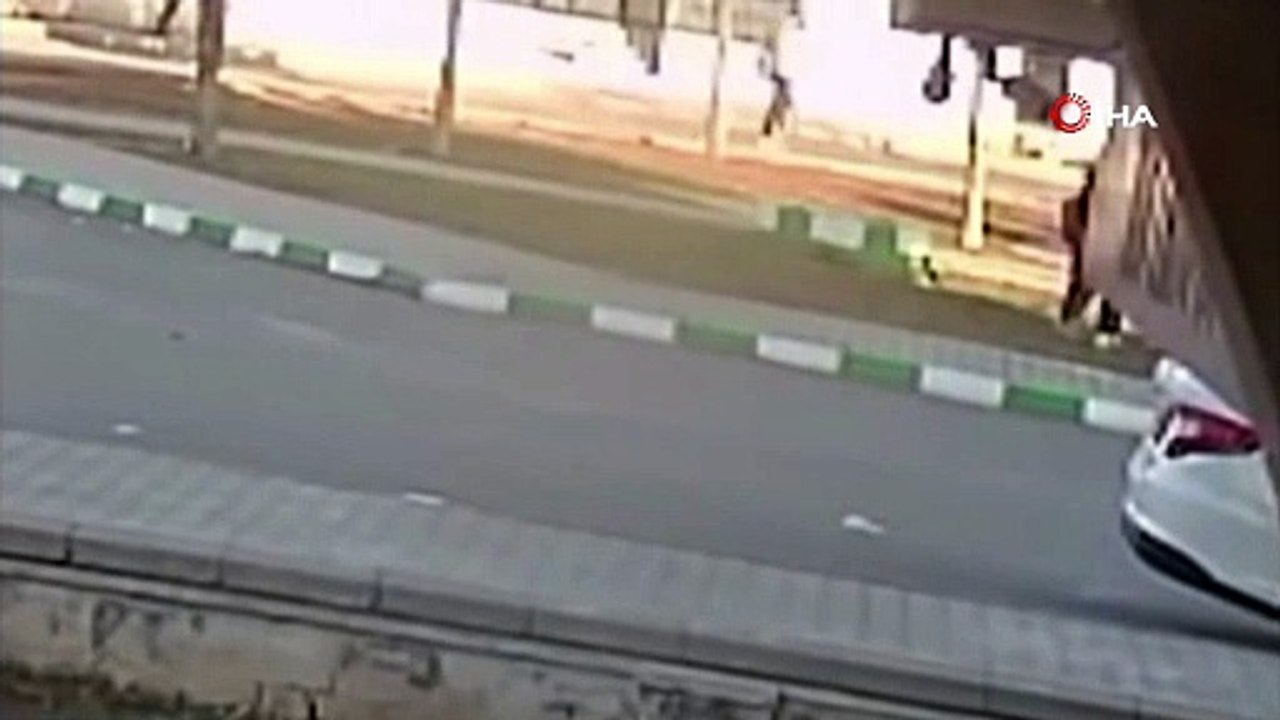 Sokak köpekleri 3 kız çocuğuna kabusu yaşattı