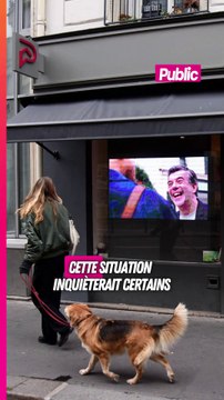 Vers la fin de Stéphane Plaza Immobilier ? M6 envisageait une décision radicale