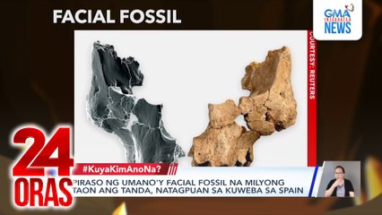Piraso ng umano'y facial fossil na milyong taon ang tanda, natagpuan sa kuweba sa Spain | 24 Oras