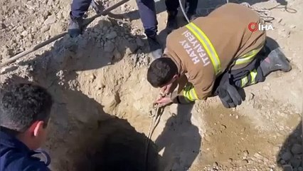 15 metrelik inşaat çukuruna düşen köpek Hatay’ı seferber etti