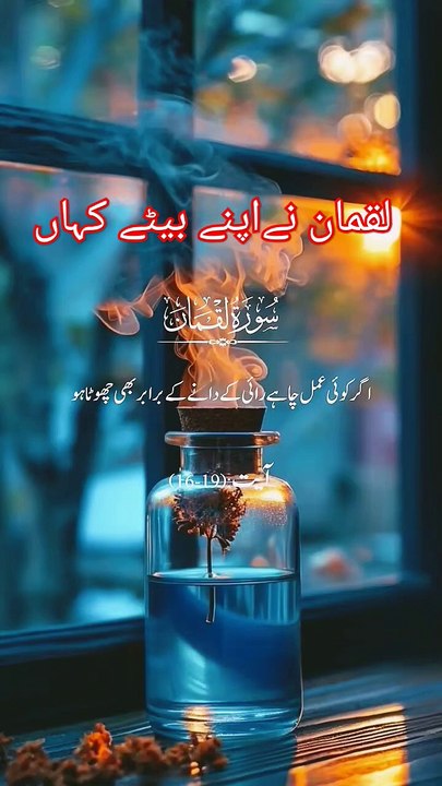 11 March 2025 (3)
