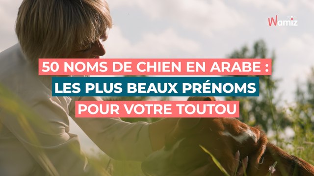 50 noms de chien en arabe : les plus beaux prénoms pour votre toutou