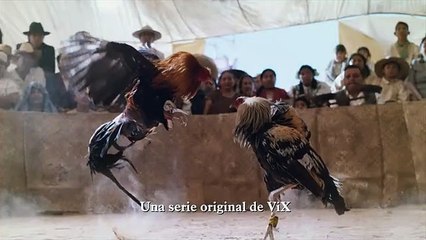 El Gallo de Oro Cap  8