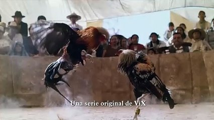 El Gallo de Oro Cap  8