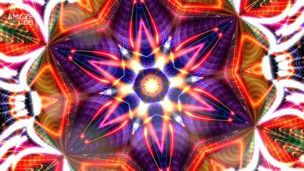 Rats on LSD For Research? You Have to See This!