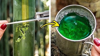 Must-Know Camping hacks for any Trip in Wild Conditions