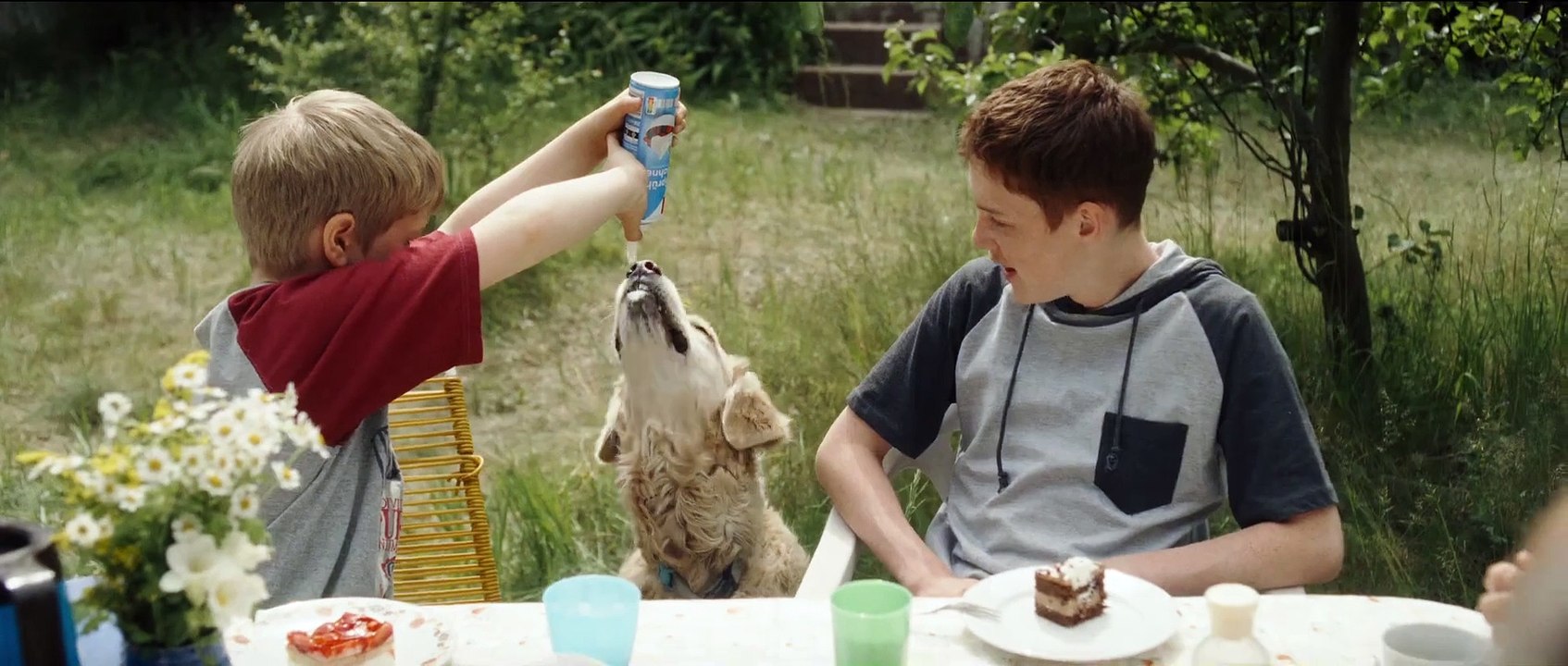 Mit der Faust in die Welt schlagen - Trailer (Deutsch) HD