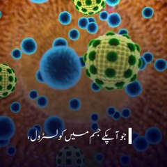 The trend of eating fried foods ۔