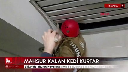 İstanbul'da okulun havalandırma boşluğunda mahsur kalan kedi kurtarıldı