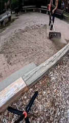 Landscaptngdai  The most Satisfying outdoorrcleaning tool  #cleaning #cleaninghacks #cleantok#satisfying #oddlysatisfying #reels