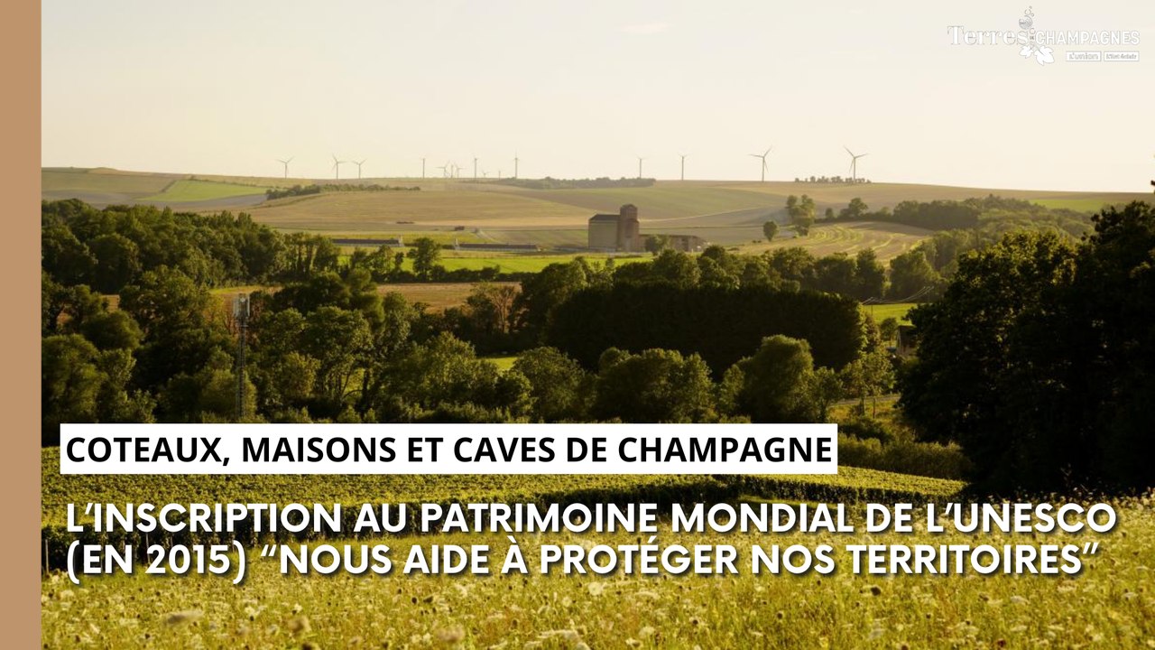 "Ça nous aide à protéger nos territoires" : les coteaux, maisons et caves de champagne inscrits à l'UNESCO depuis 2015
