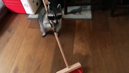 Vidéo bloquée sur DM