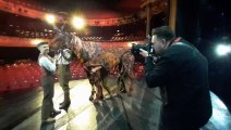 War horse comes to the Grand Theatre.