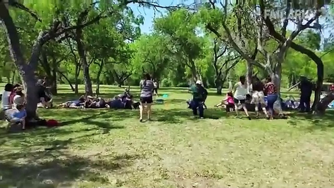 World s funniest farm Funny. video