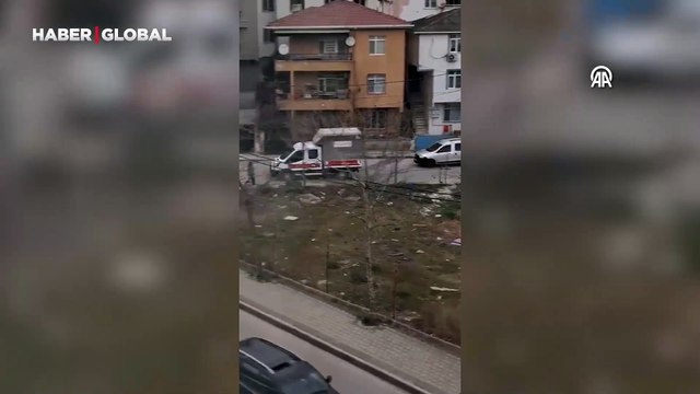 Sancaktepe'de korkunç görüntü! Çöp konteynerinde ölü köpekler bulundu