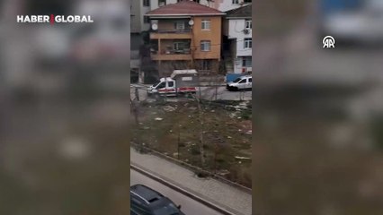 Sancaktepe'de korkunç görüntü! Çöp konteynerinde ölü köpekler bulundu