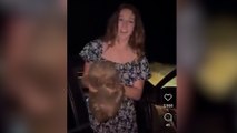 Une influenceuse fait scandale en Australie en retirant un bébé wombat à sa mère