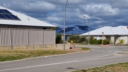 Woman out strolling with her baby has a close call with a stray dog
