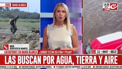 Inundación en Bahía: habla una rescatista de animales