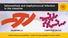 How to treat salmonellosis and staphylococcical infection?