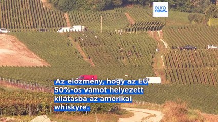 200%-os vámmal fenyegeti az európai alkoholtartalmú italokat Trump