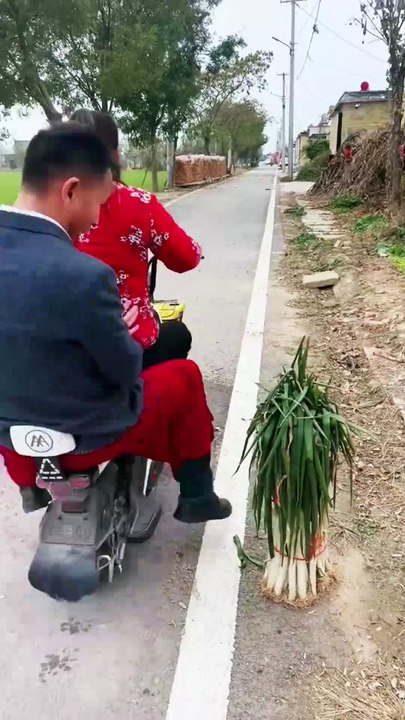 Amazing funny video