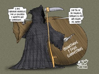 Xolo | La Normalización de la Violencia 🕊️