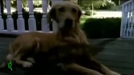 Escalofríos intro latino