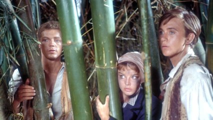 Les Robinson des mers du Sud