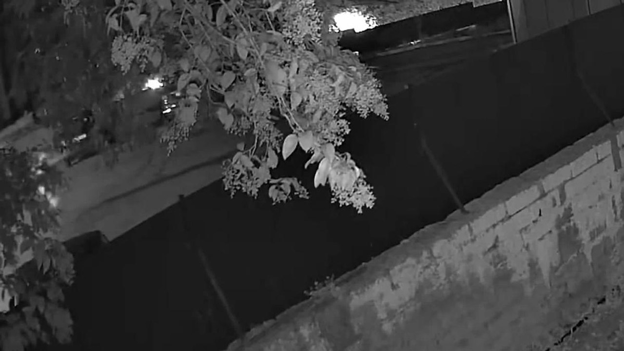 Sparò a ladro in fuga sulla Cassia a Roma, il video che incastra Antonio Micarelli: così aprì il fuoco e uccise