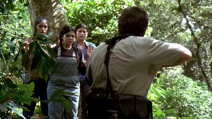 Collateral Damage: Firefighter's Revenge 🔥