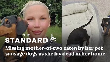 Missing mother-of-two eaten by her pet sausage dogs as she lay dead in her home for up to a month