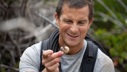 Sauve qui peut : un film You VS Wild