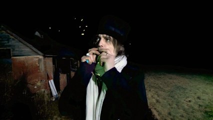 Peter Doherty : Stranger in My Own Skin