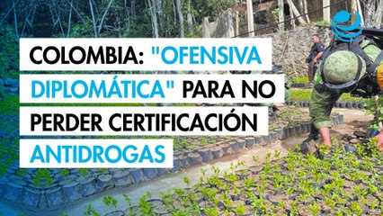 Colombia inicia "ofensiva diplomática" para no perder certificación antidrogas de Estados Unidos