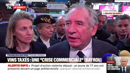 "On ne peut pas se laisser menacer", estime François Bayrou face aux menaces de Donald Trump sur l'application de droits de douane
