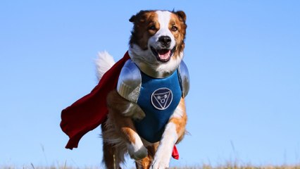 Les copains super-héros